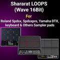 Shararat Loops (Wave 16bit) For SPD-SX,SPD-SXpro, Yamaha DTX & Others Pads
