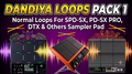 Dandiya, Garba NORMAL LOOPS (Uncut Loops) & Tones PACK1 For SPD-SX, SPD-SXpro, Yamaha DTX, HPD20, MIDI controller, Launchpad & Others Sampler Pads